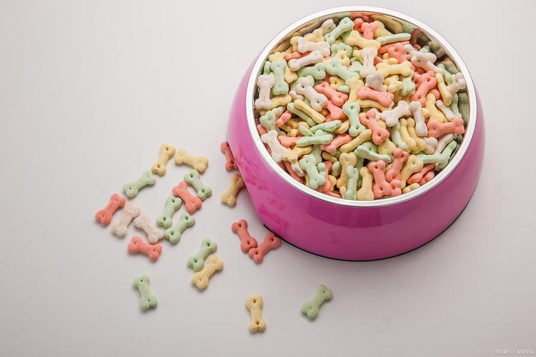寵物食品助消化功能檢測(cè):康派斯助力守護(hù)愛寵腸胃健康